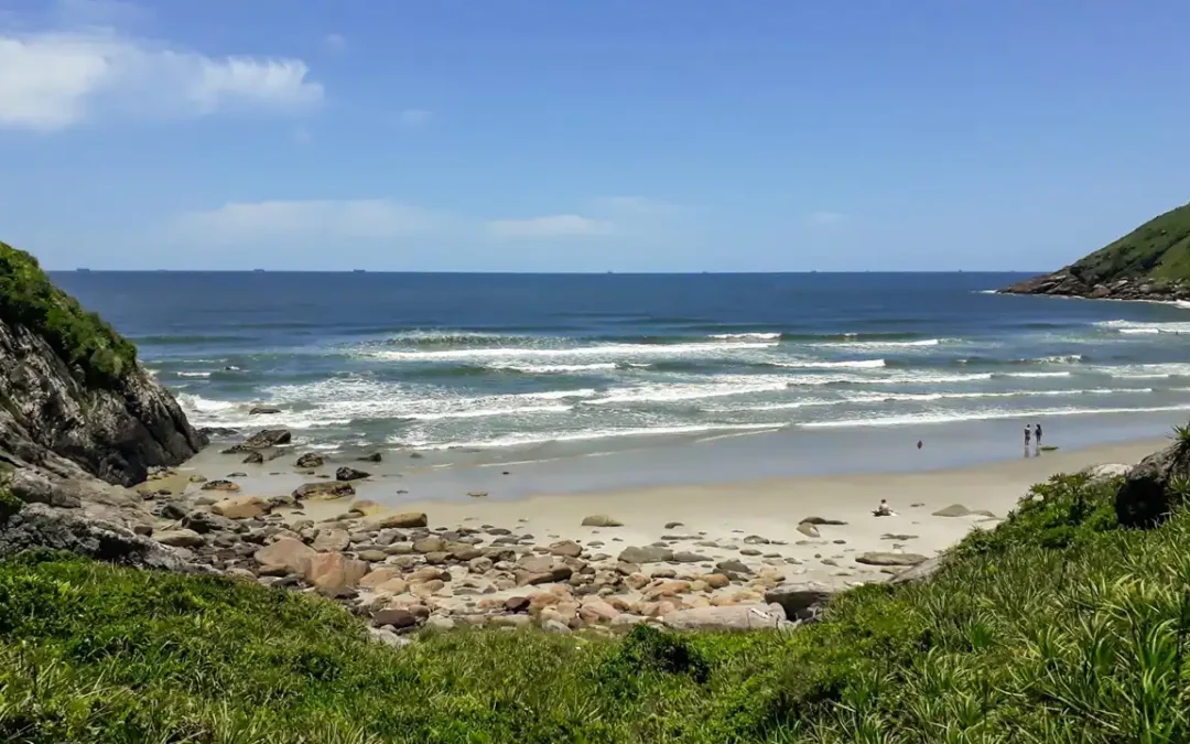 Você viu? Criaturas na Ilha do Mel intrigam visitantes!