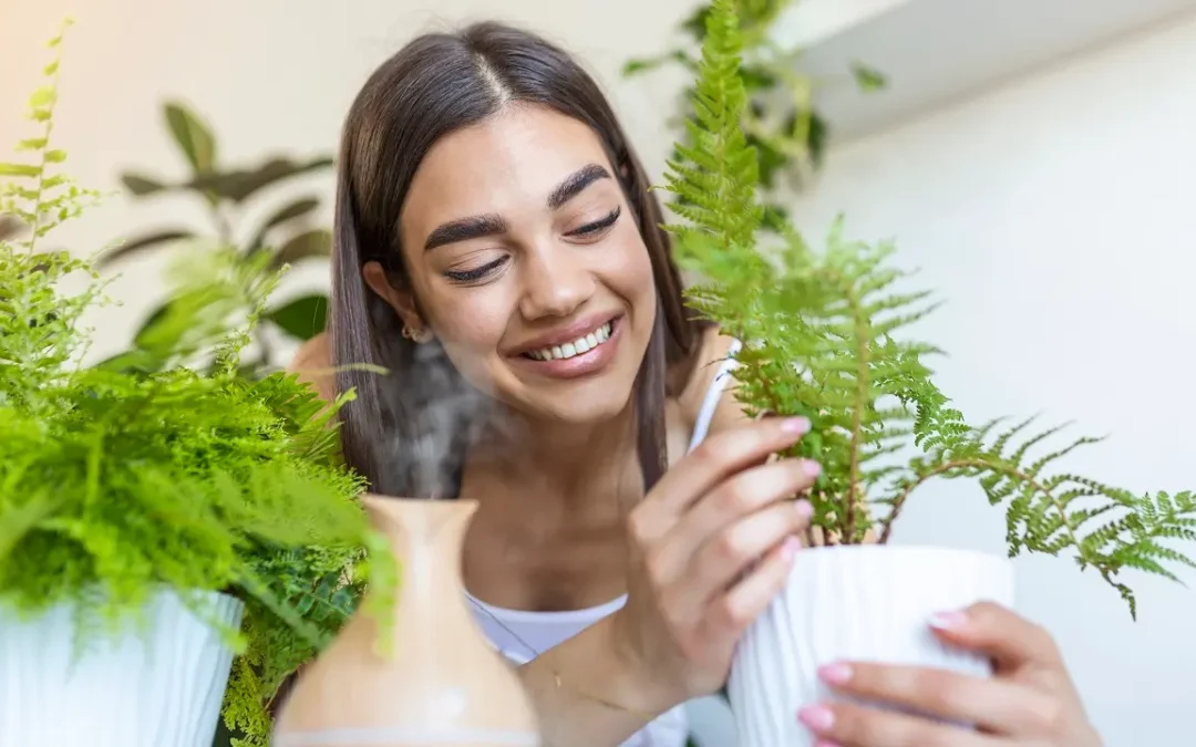 7 plantas que trazem energia positiva ao seu lar e alegram seu dia